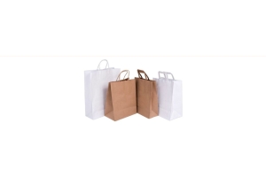 Economy twist handle bags 