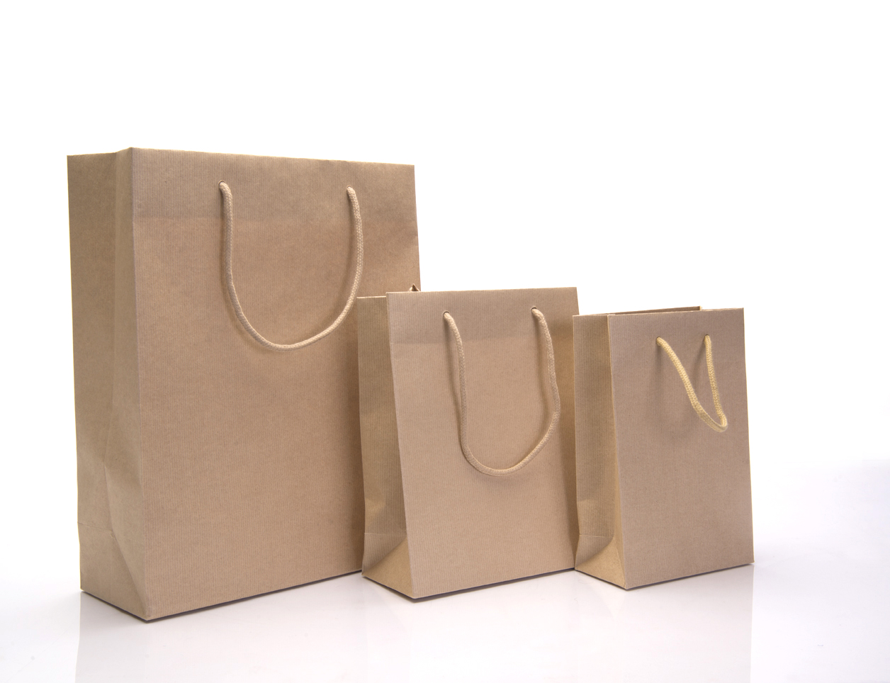 Rope Handle Paper Carrier Bags